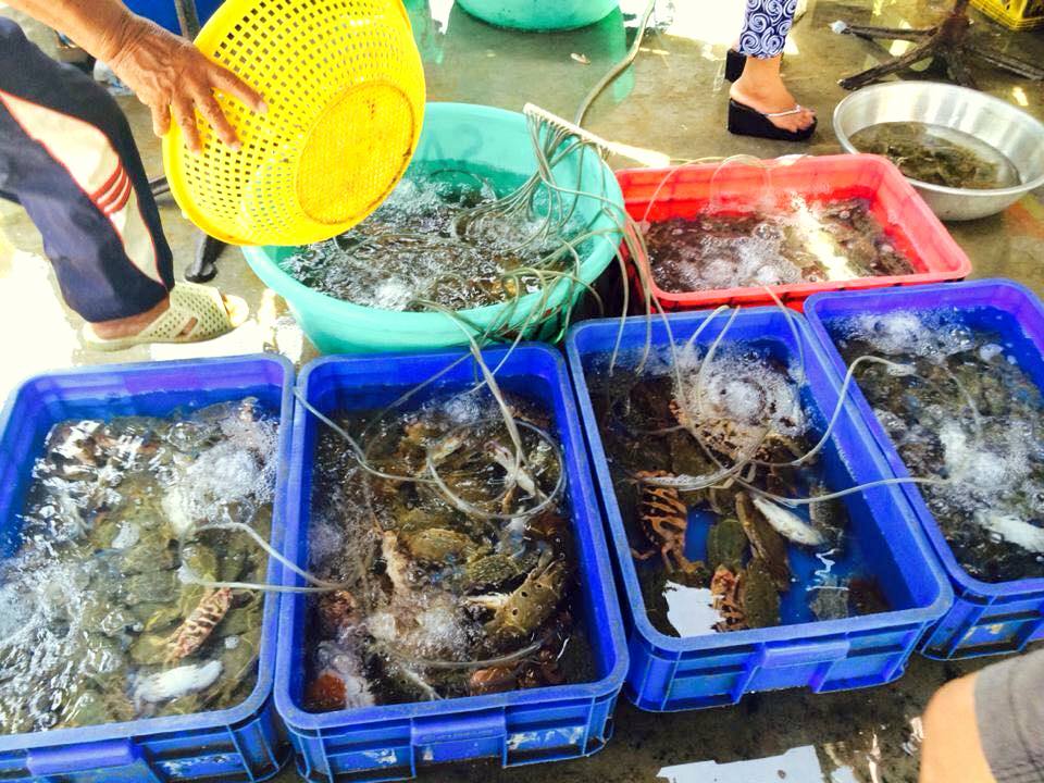 Hải sản tươi xanh ở chợ Hòn Rớ Nha Trang