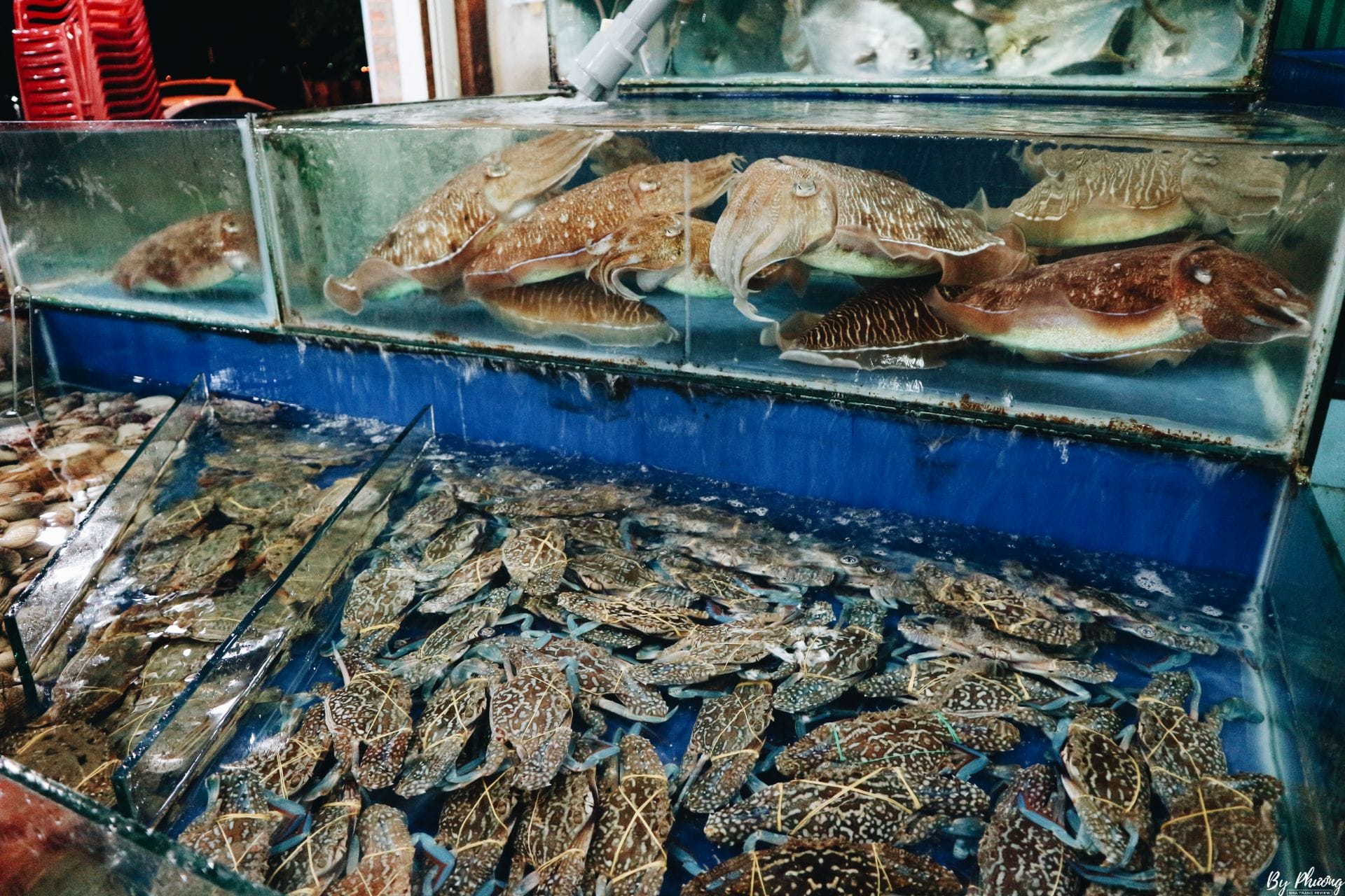 Quán Ăn Hải Sản Rẻ Ở Nha Trang